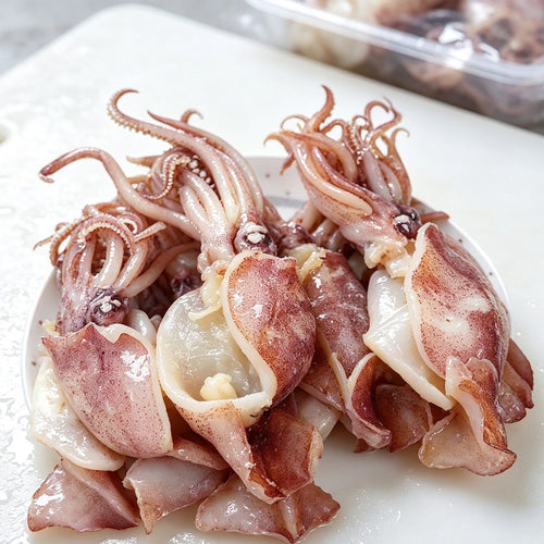 Fresh Squid for Seafood Lovers 2