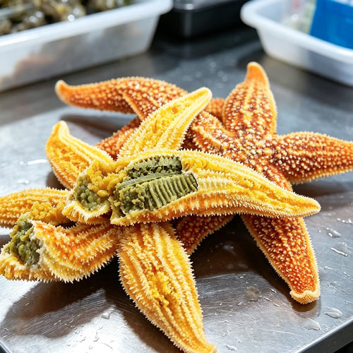 Golden Sea Star Delight 1